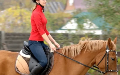 Visita a uma escola de Equoterapia na Holanda